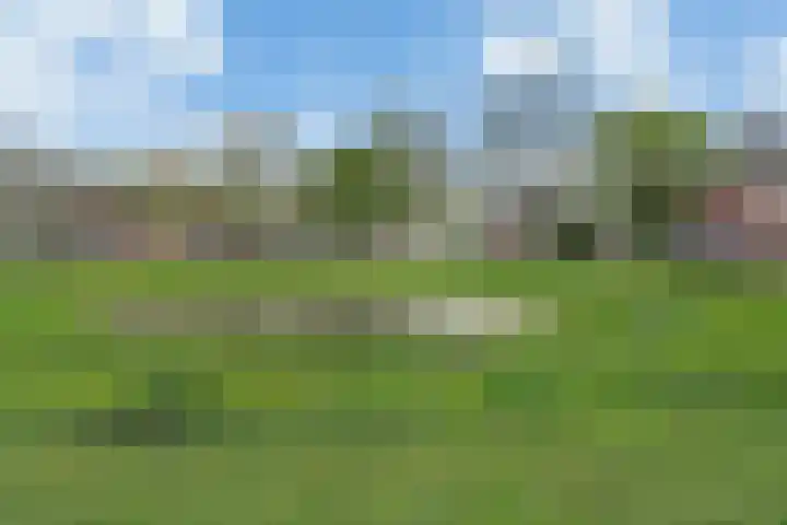 Broekdijk 11 Best thumbnail 15