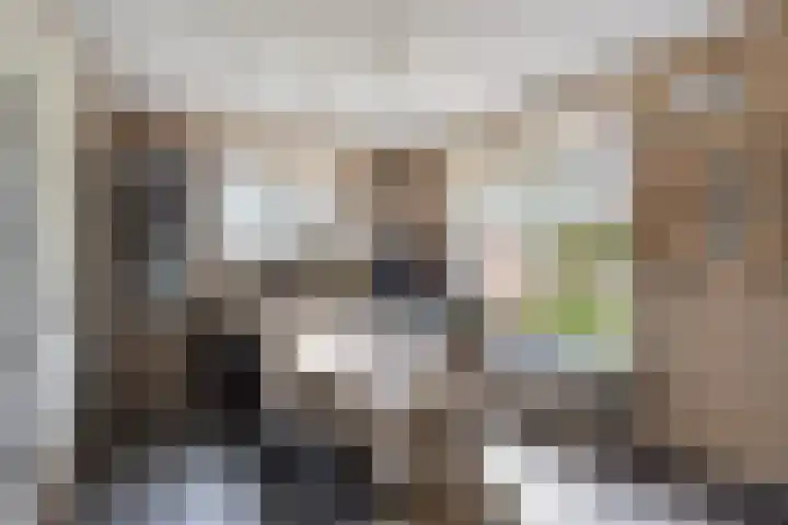 Broekdijk 11 Best thumbnail 18