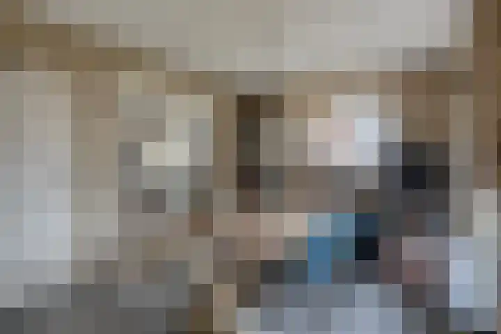 Broekdijk 11 Best thumbnail 19