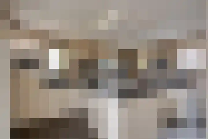 Broekdijk 11 Best thumbnail 21
