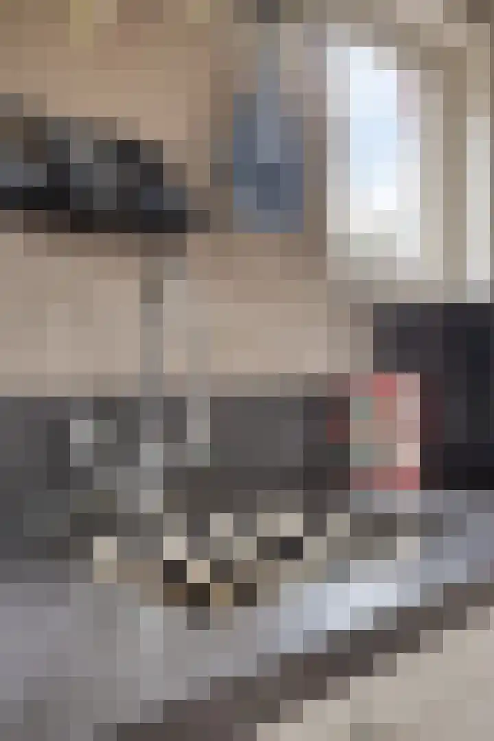 Broekdijk 11 Best thumbnail 25
