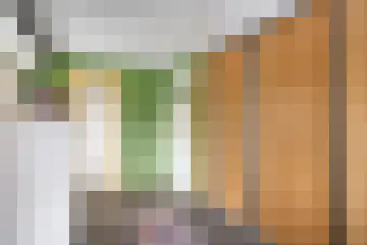 Broekdijk 11 Best thumbnail 31