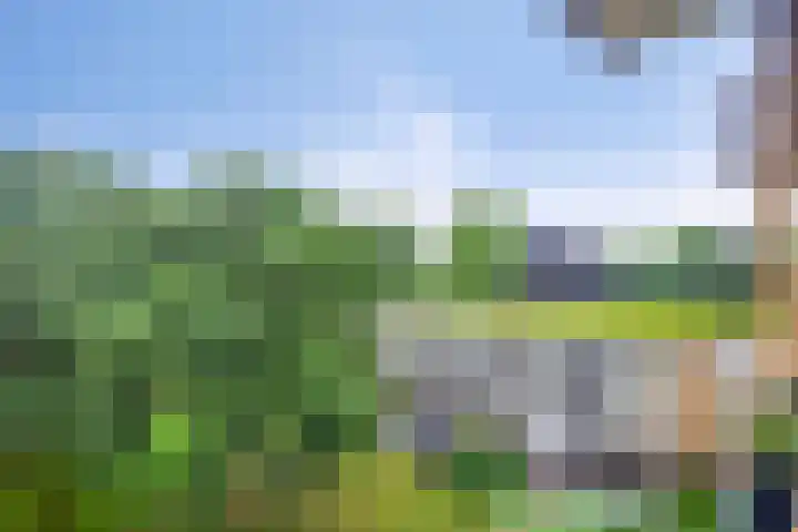 Broekdijk 11 Best thumbnail 38