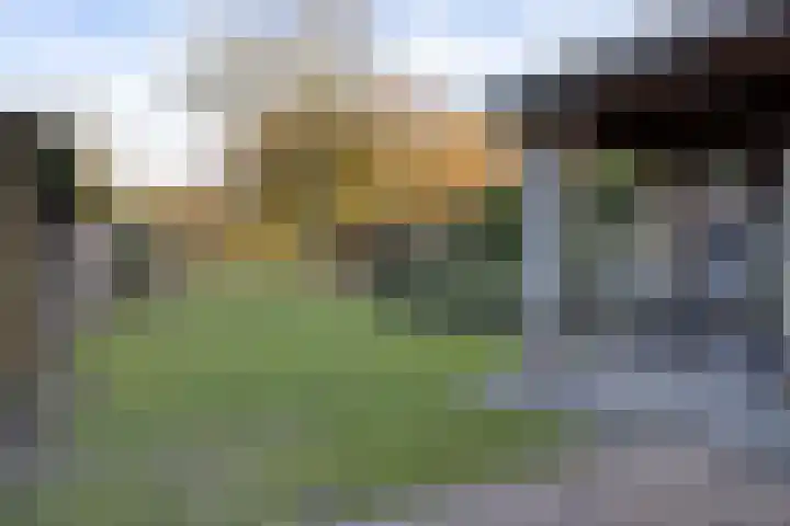 Broekdijk 11 Best thumbnail 41
