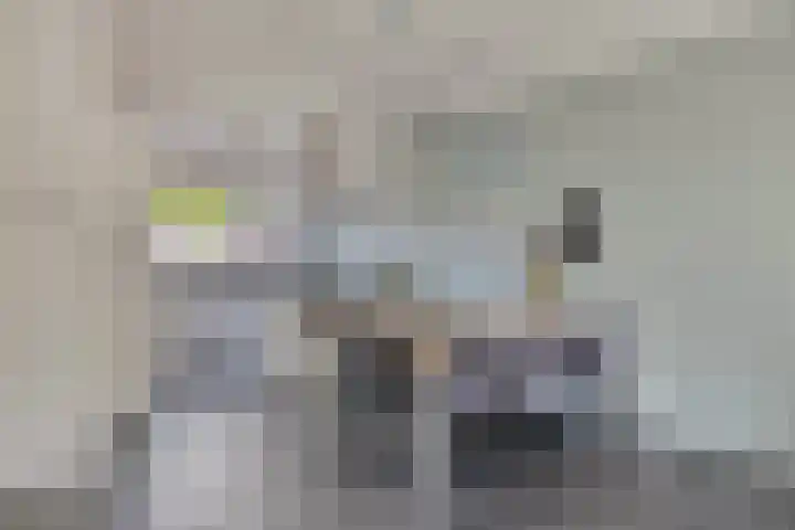 Broekdijk 11 Best thumbnail 49
