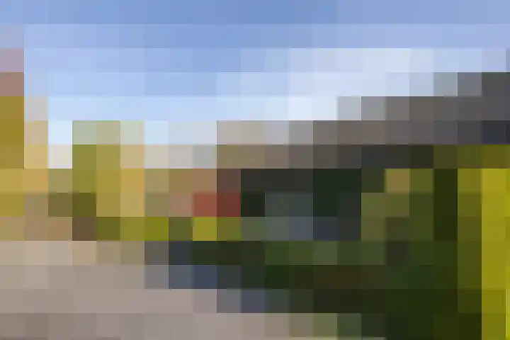 Broekdijk 11 Best thumbnail 58
