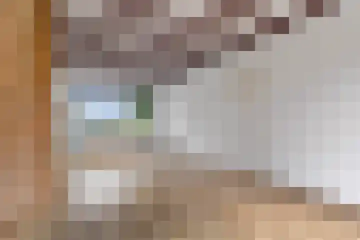 Broekdijk 11 Best thumbnail 59