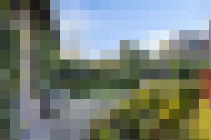 Broekdijk 11 Best thumbnail 59