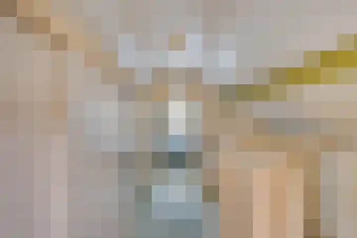 Broekdijk 11 Best thumbnail 78