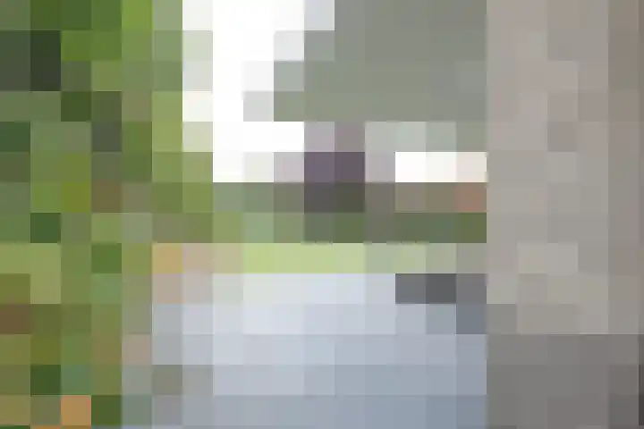 Broekdijk 11 Best thumbnail 89