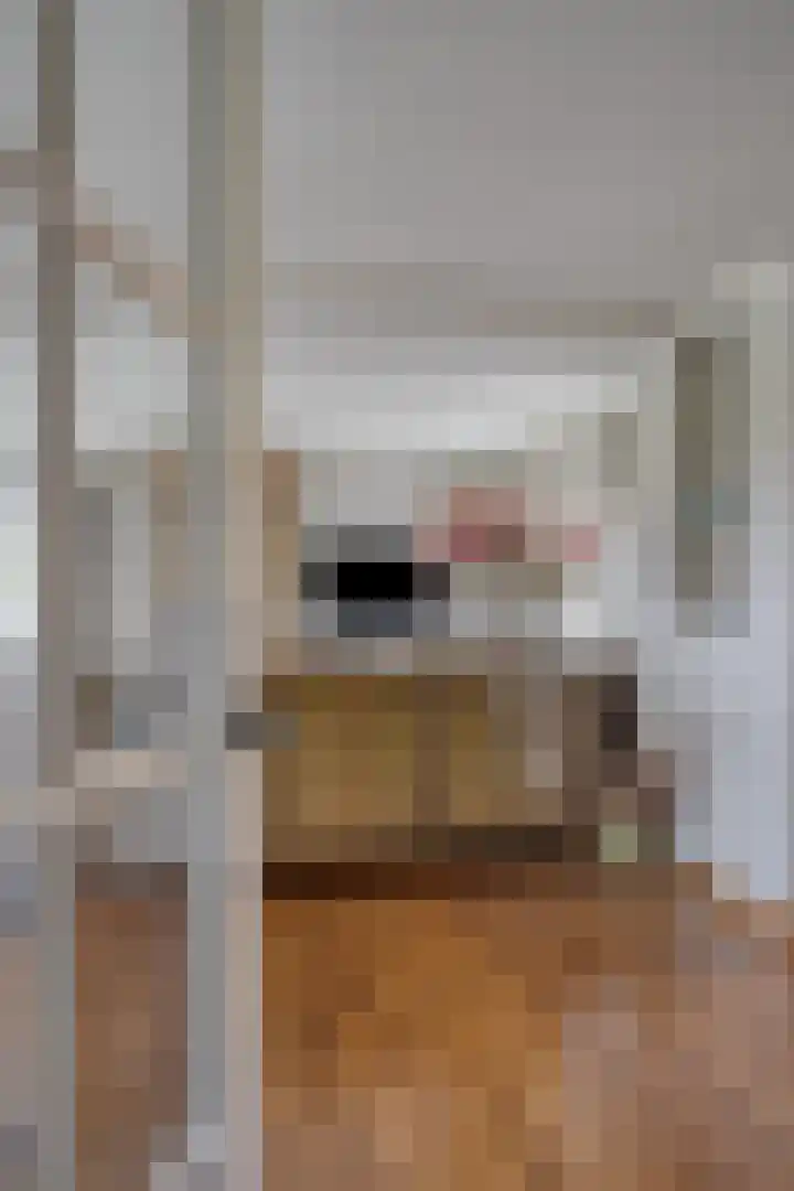 Broekdijk 11 Best thumbnail 9