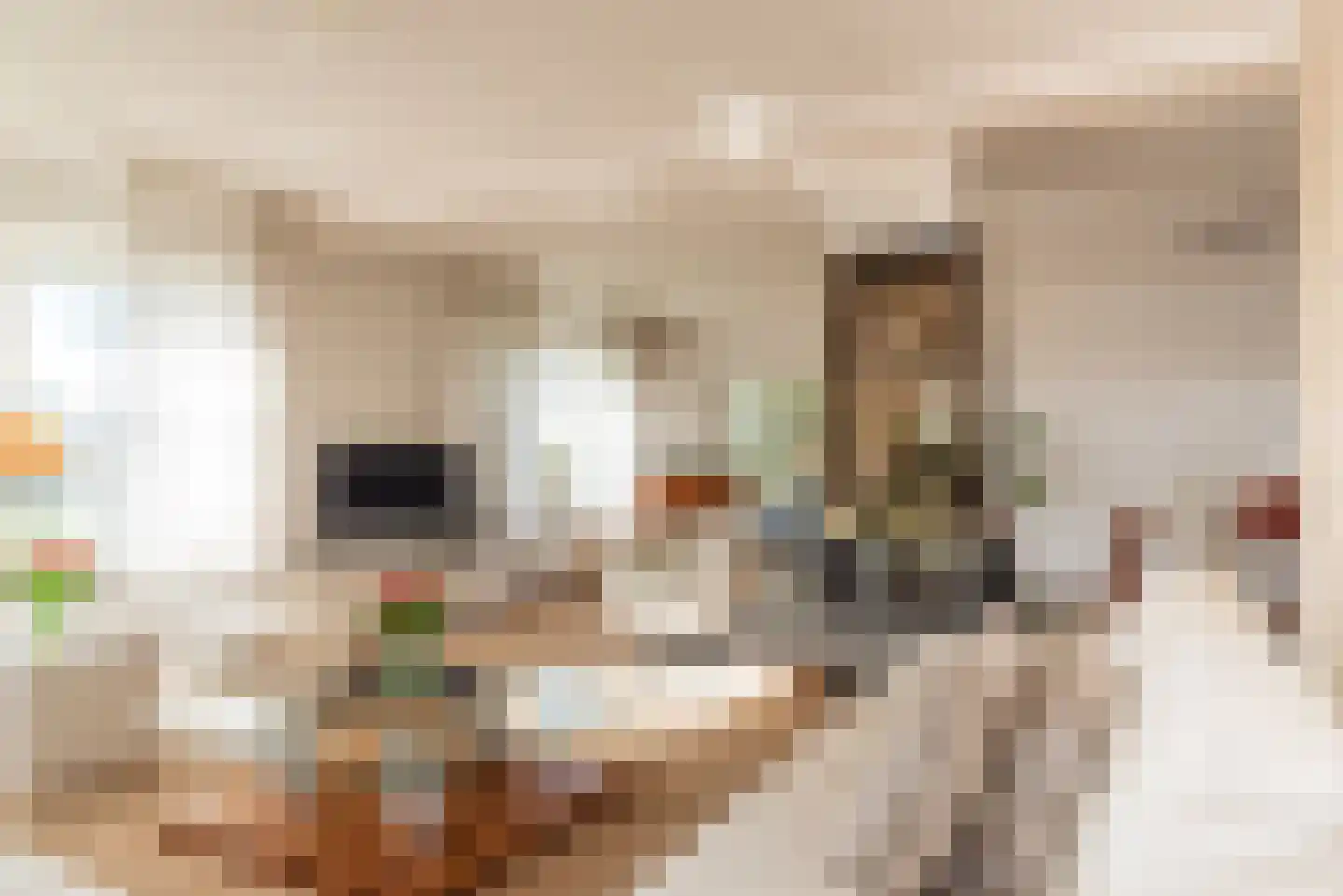 Broekdijk 20 Kesteren thumbnail 12