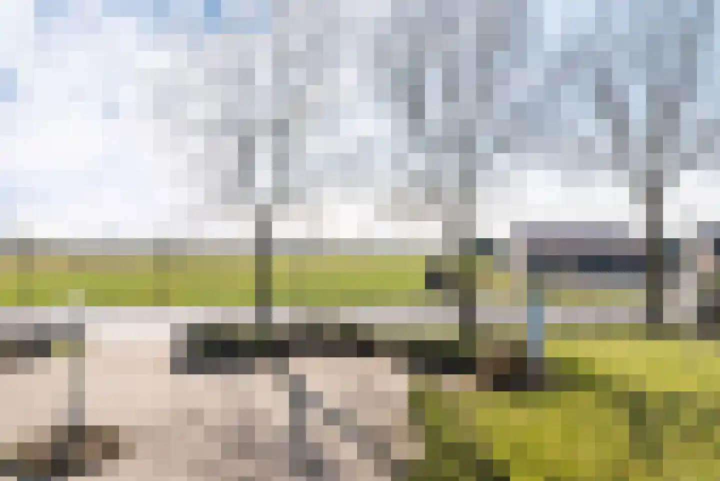 Broekdijk 20 Kesteren thumbnail 21