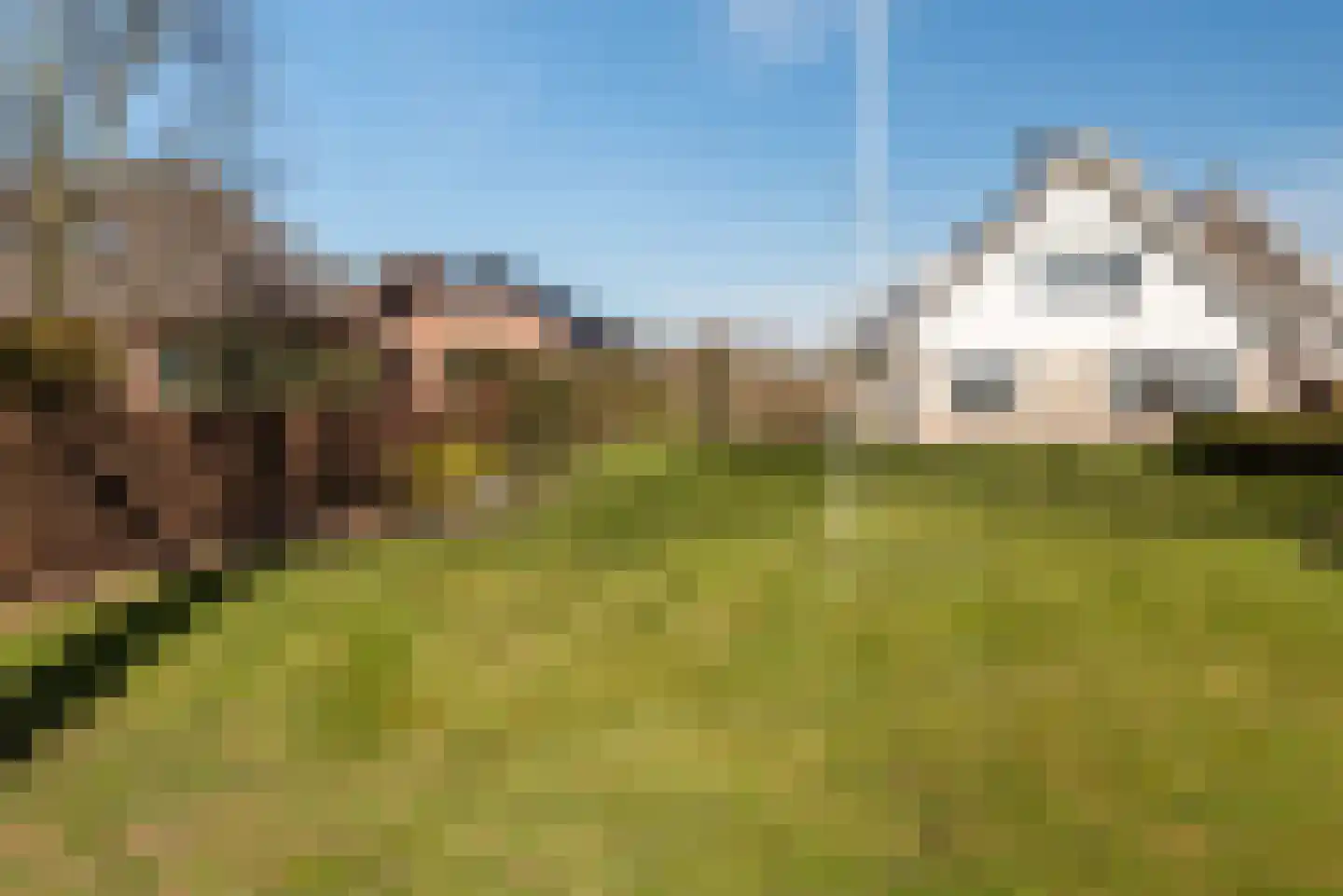 Broekdijk 20 Kesteren thumbnail 52