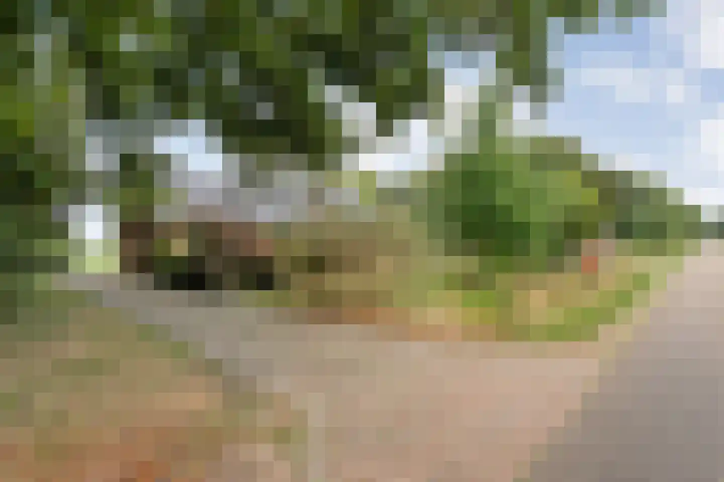 Broekdijk 3 Manderveen thumbnail 32