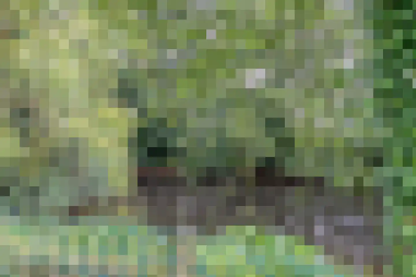 Broekdijk 3 Manderveen thumbnail 33