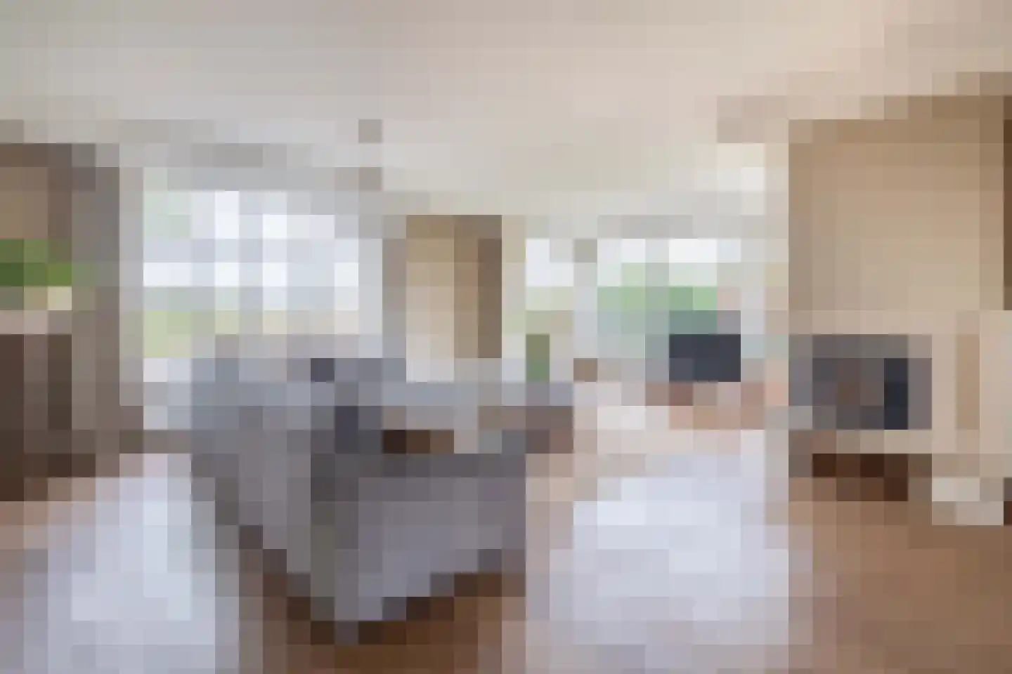 Broekdijk 3 Nuenen thumbnail 15