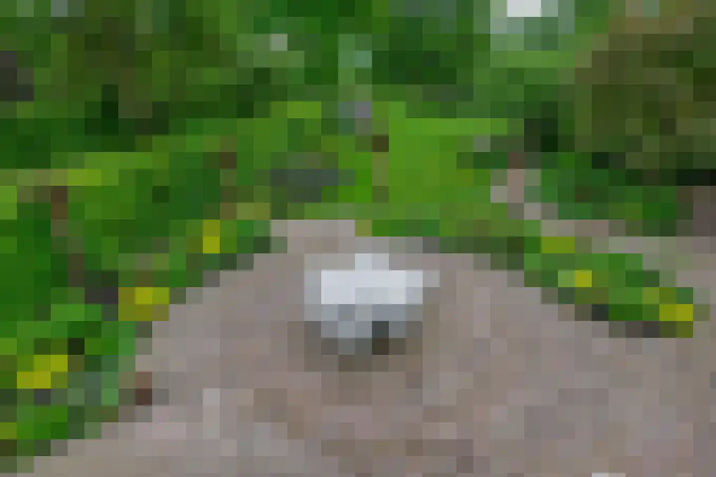 Broekdijk 3 Nuenen thumbnail 37