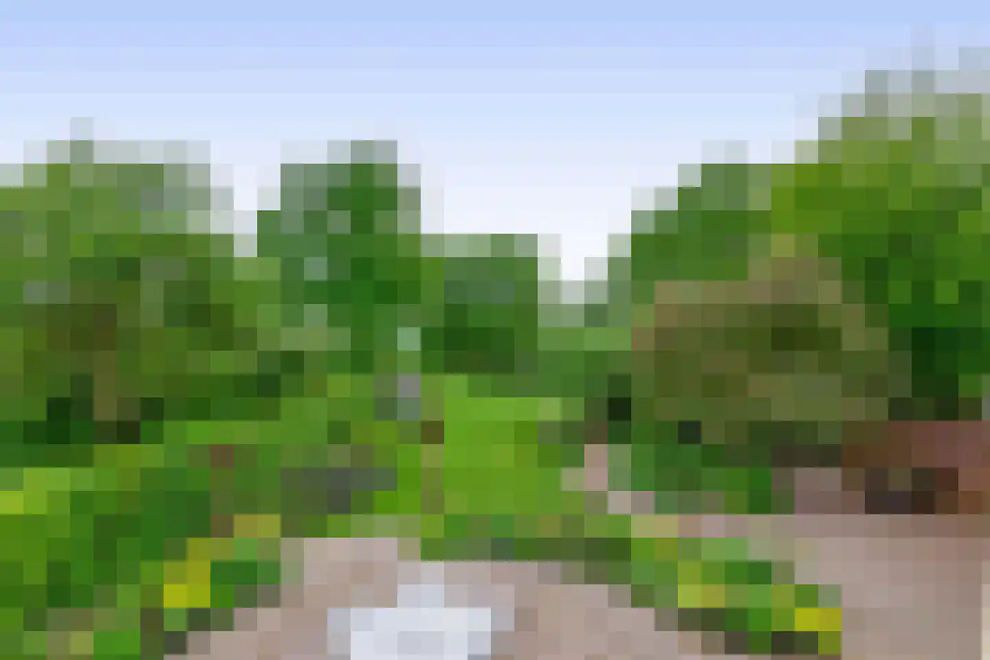 Broekdijk 3 Nuenen thumbnail 38
