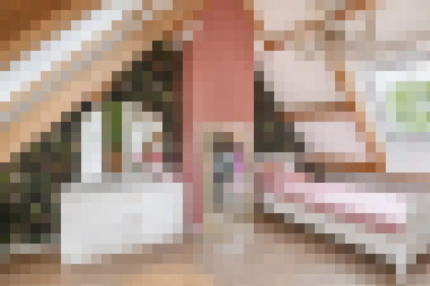 Broekdijk 3 Nuenen thumbnail 46