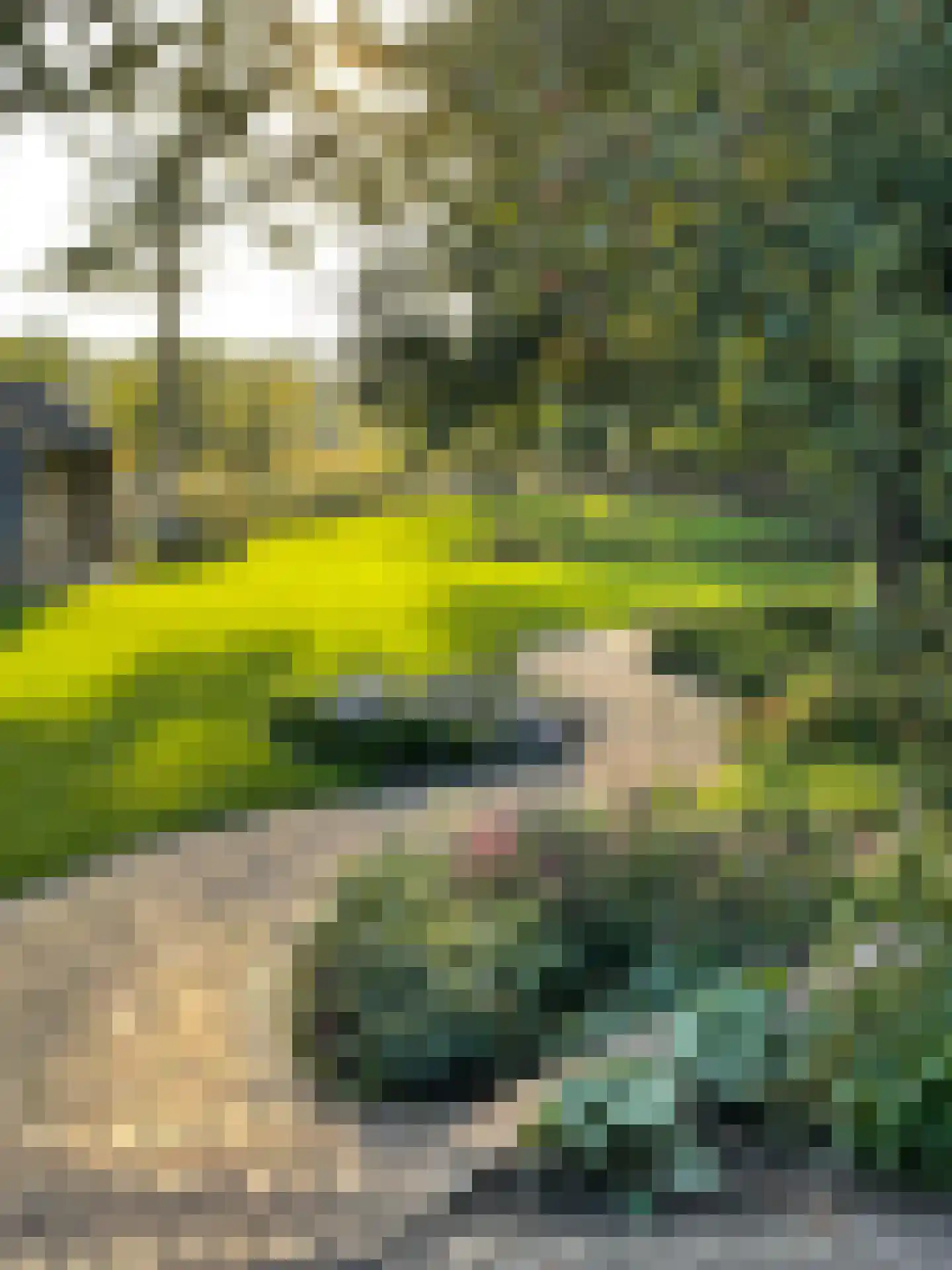 Broekdijk 3 Nuenen thumbnail 54