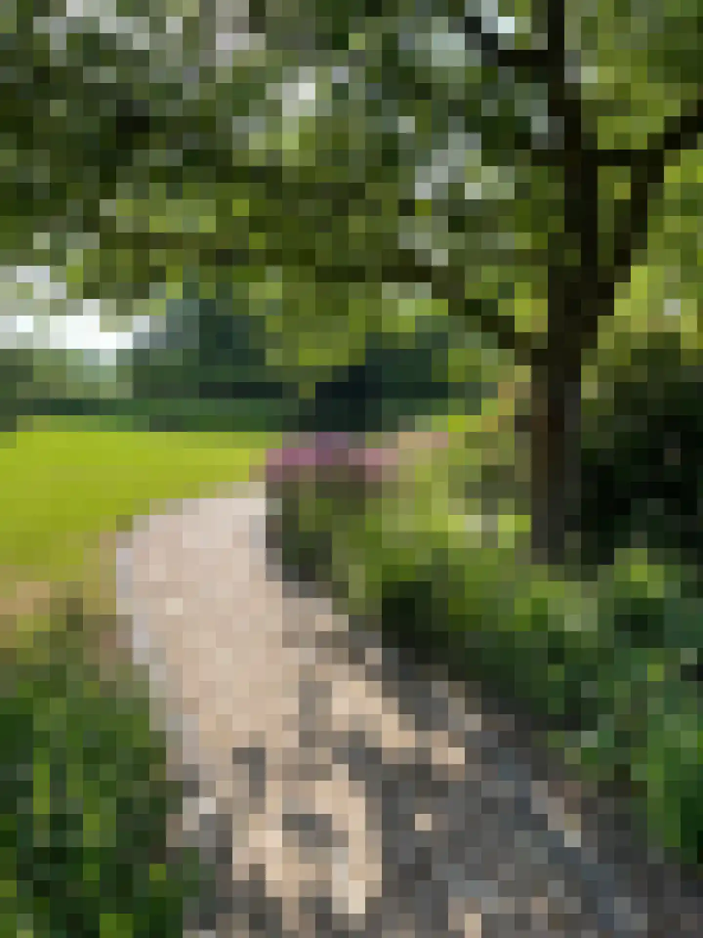 Broekdijk 3 Nuenen thumbnail 56