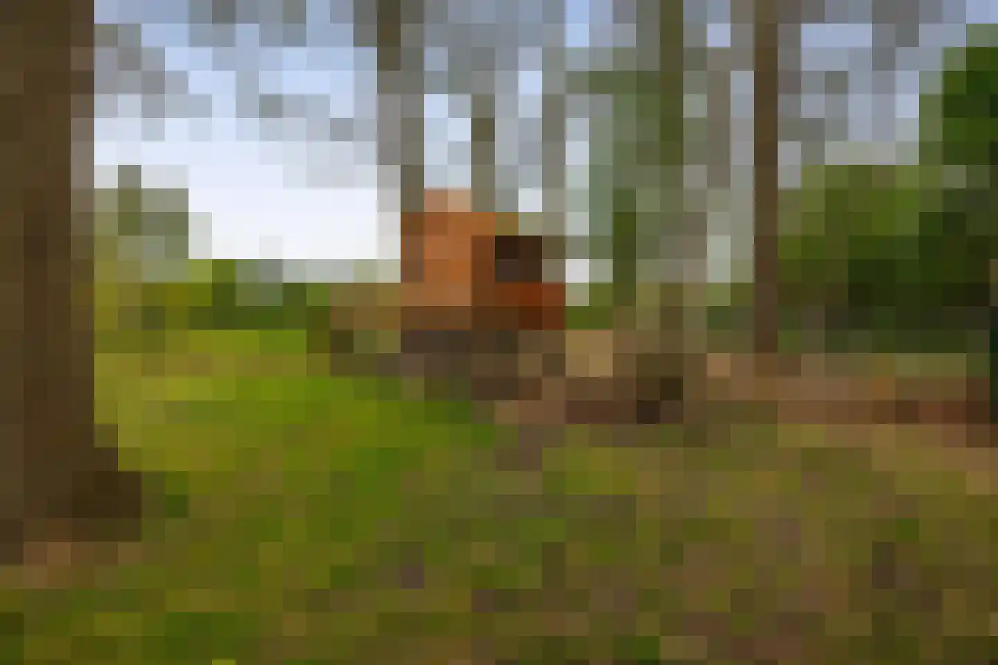 Broekdijk 3 Nuenen thumbnail 59