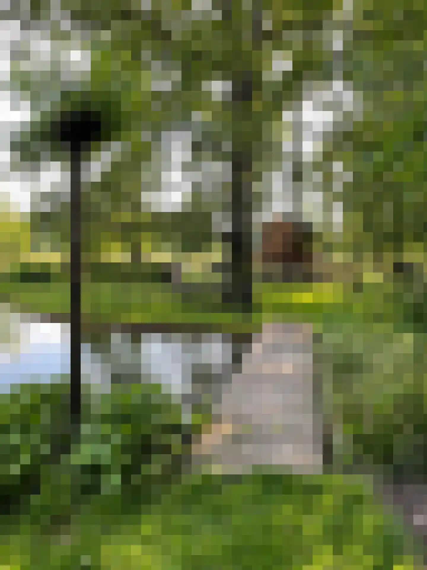 Broekdijk 3 Nuenen thumbnail 60