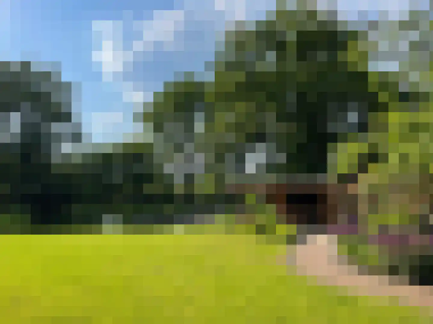 Broekdijk 3 Nuenen thumbnail 69