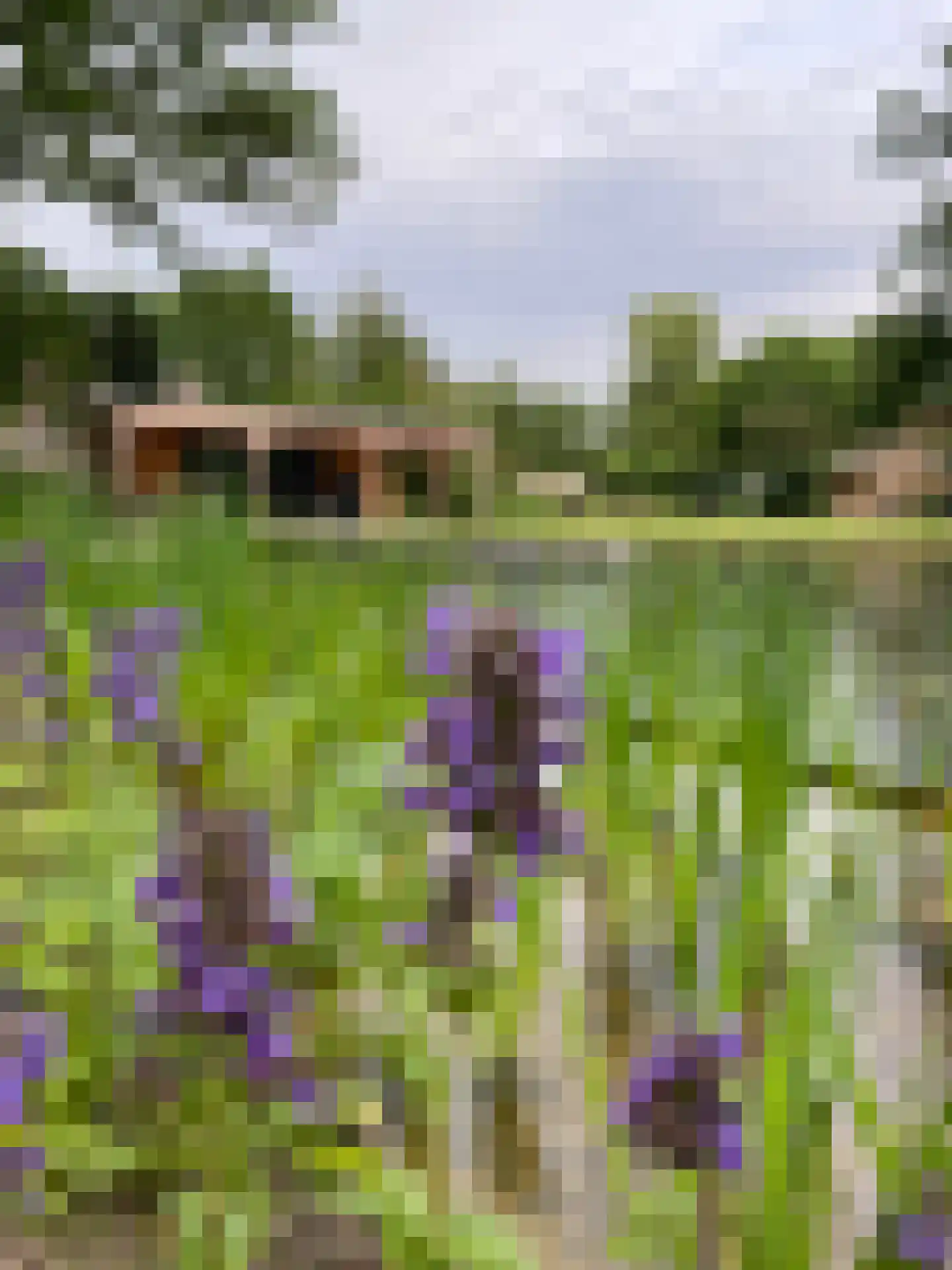 Broekdijk 3 Nuenen thumbnail 70