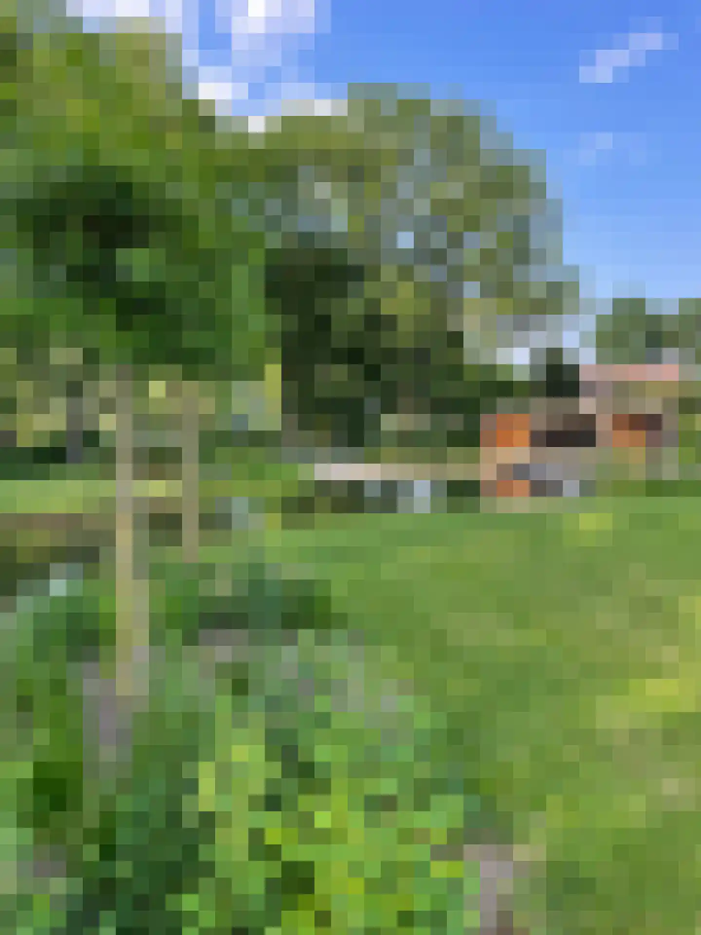 Broekdijk 3 Nuenen thumbnail 71