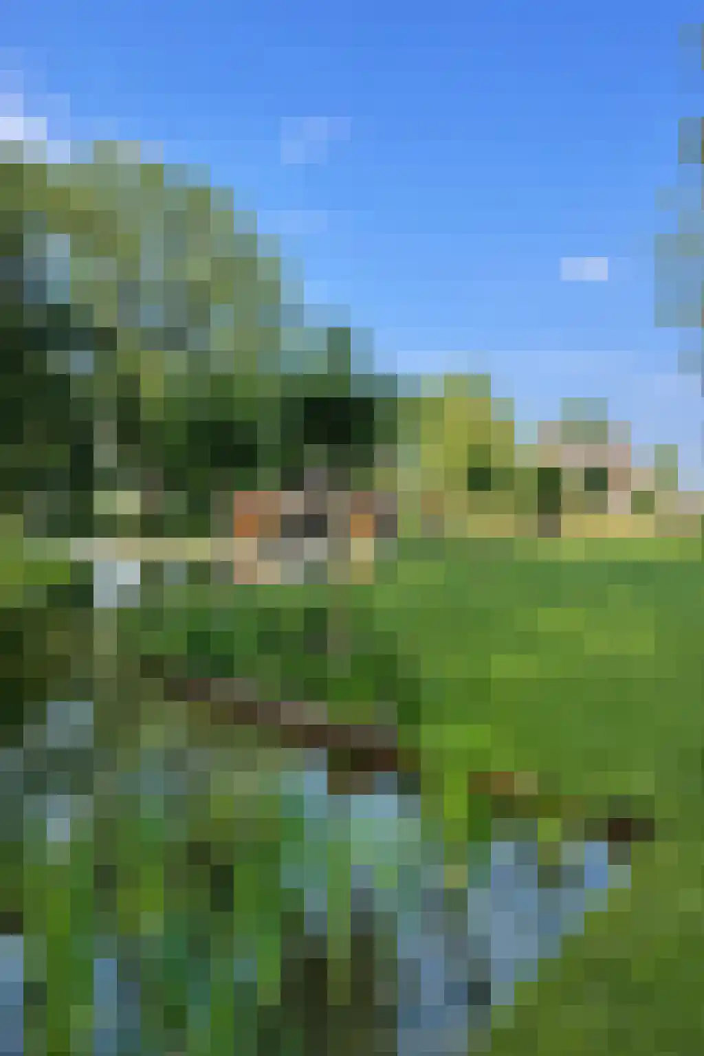 Broekdijk 3 Nuenen thumbnail 72