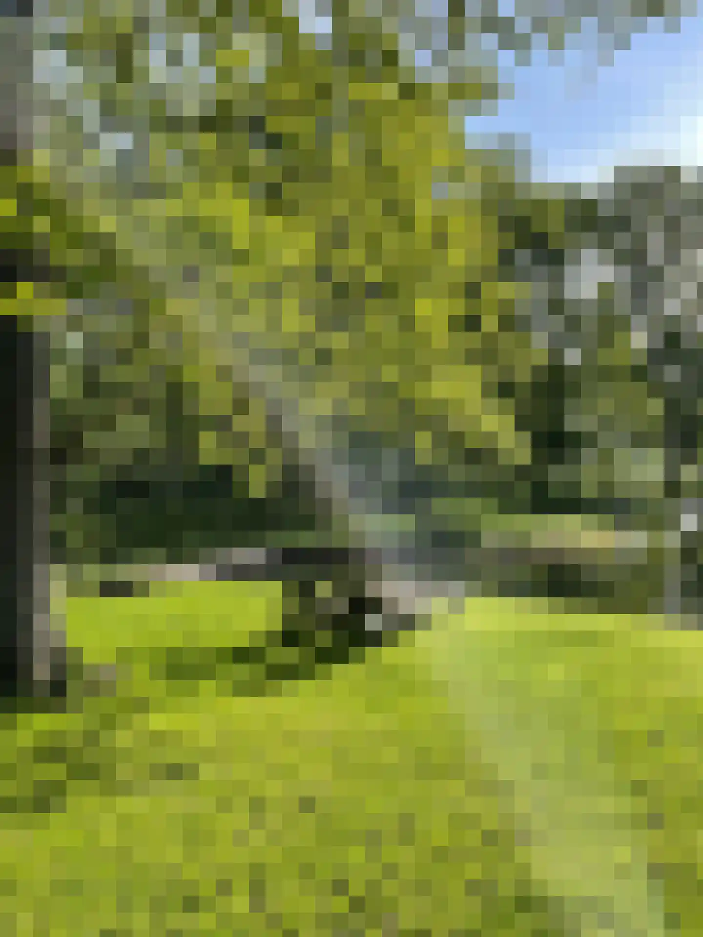 Broekdijk 3 Nuenen thumbnail 78
