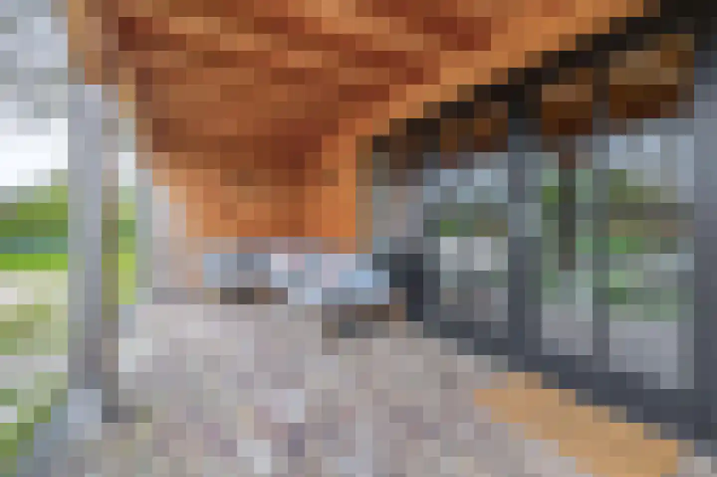 Broekdijk 3 Nuenen thumbnail 81