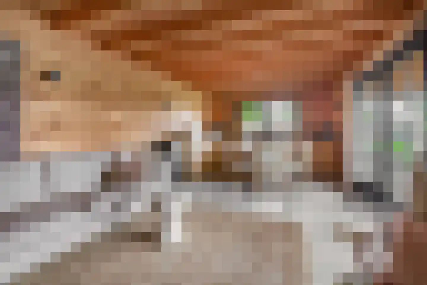 Broekdijk 3 Nuenen thumbnail 87