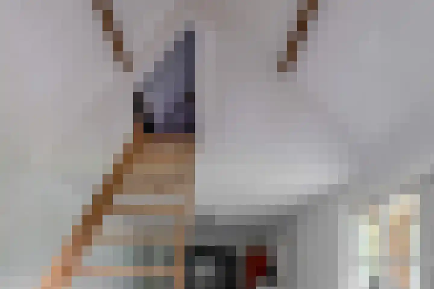 Broekdijk 3 Nuenen thumbnail 97