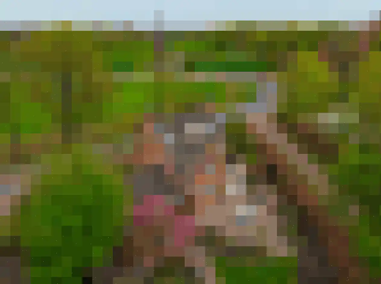 Broekdijk 3 Nuenen thumbnail 99
