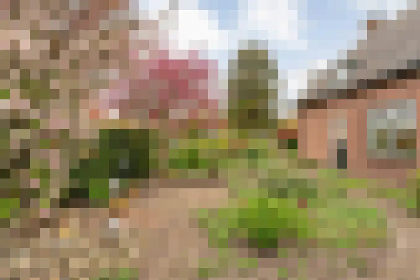 Broekdijk 43 Bruchterveld thumbnail 4