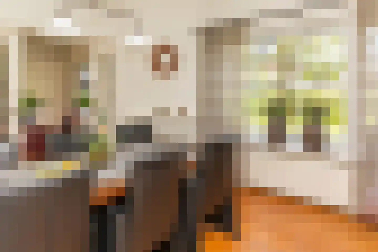 Broekdijk 44 Kesteren thumbnail 17