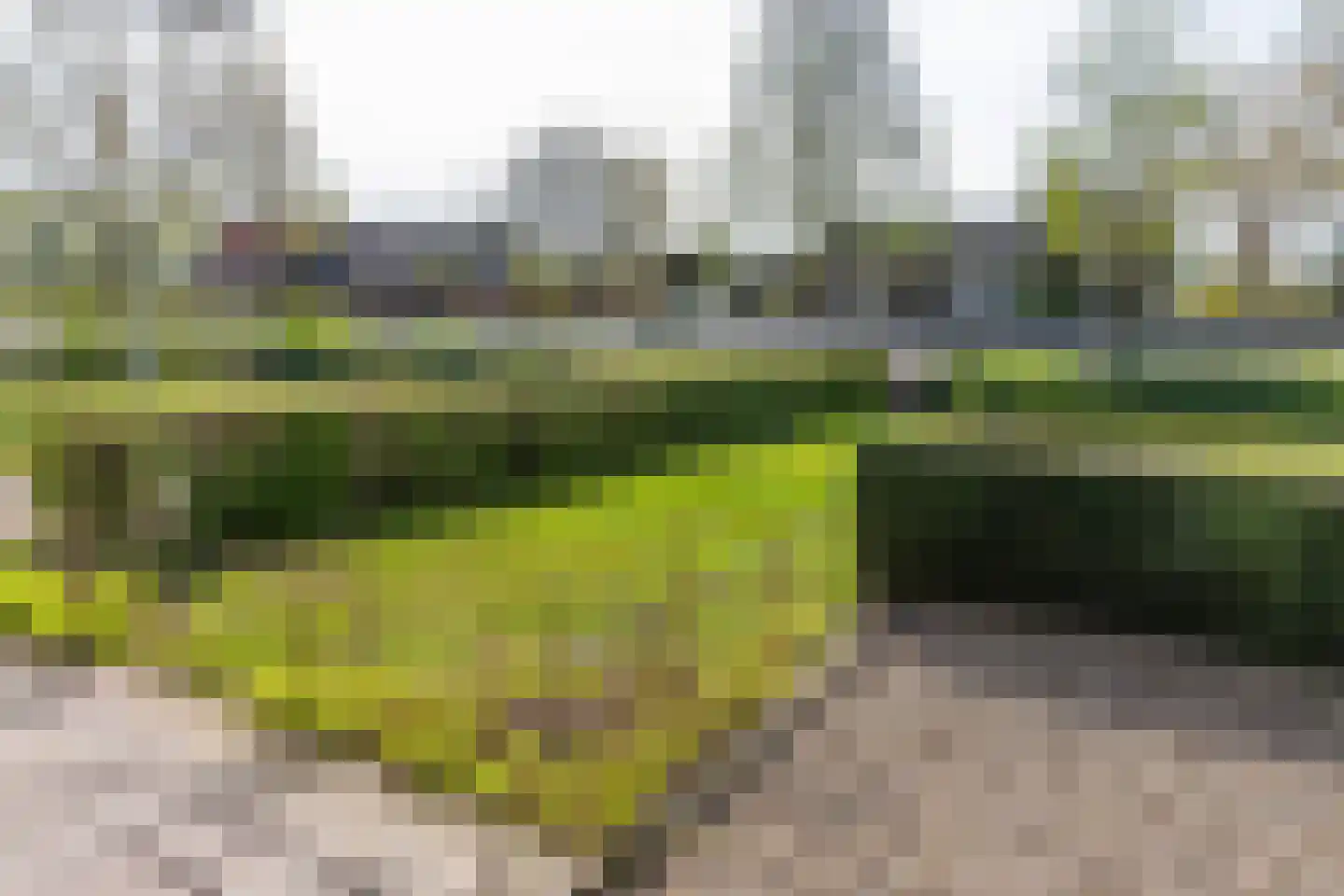 Broekdijk 44 Kesteren thumbnail 42