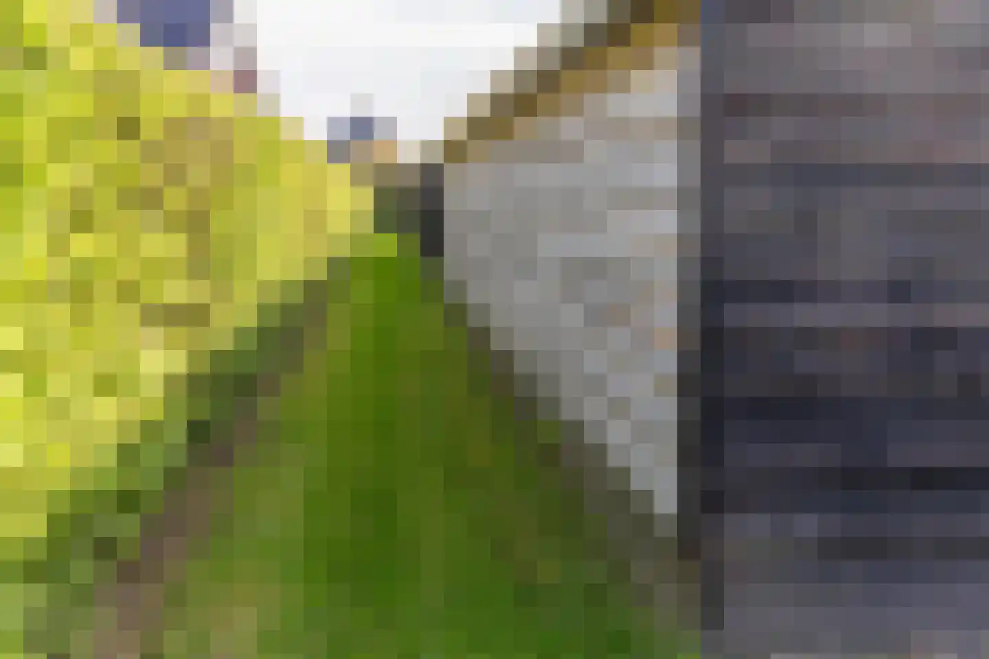 Broekdijk 44 Kesteren thumbnail 51