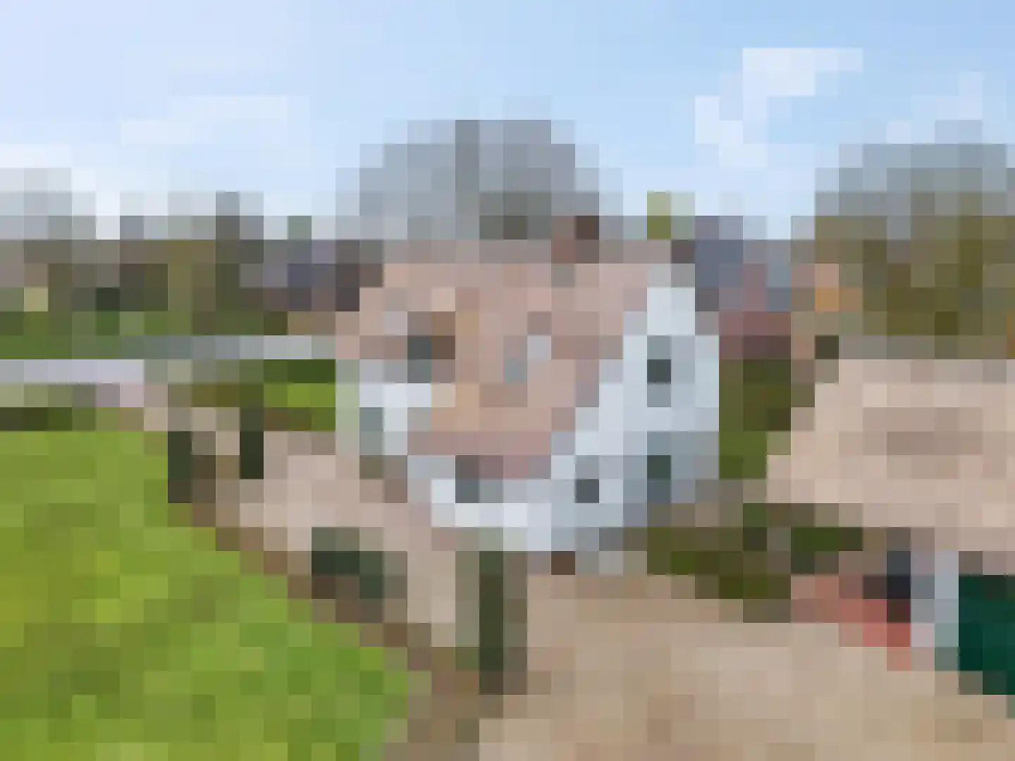 Broekdijk 44 Kesteren thumbnail 6