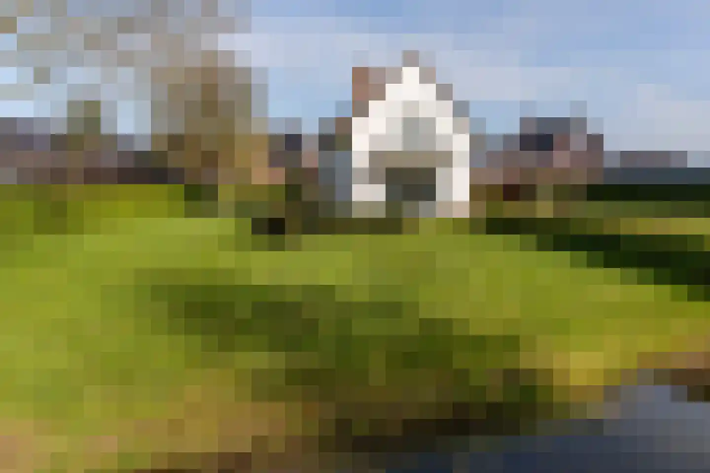 Broekdijk 44 Kesteren thumbnail 63