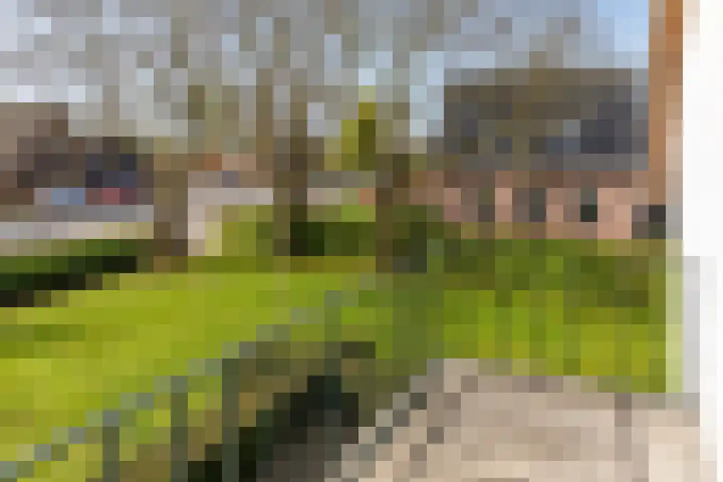 Broekdijk 44 Kesteren thumbnail 78