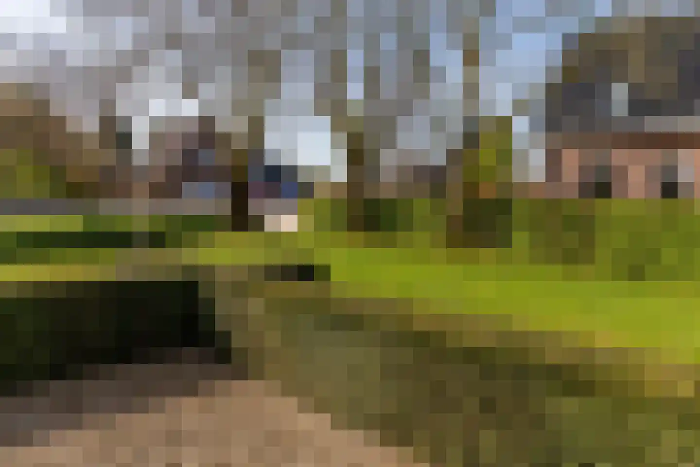 Broekdijk 44 Kesteren thumbnail 86