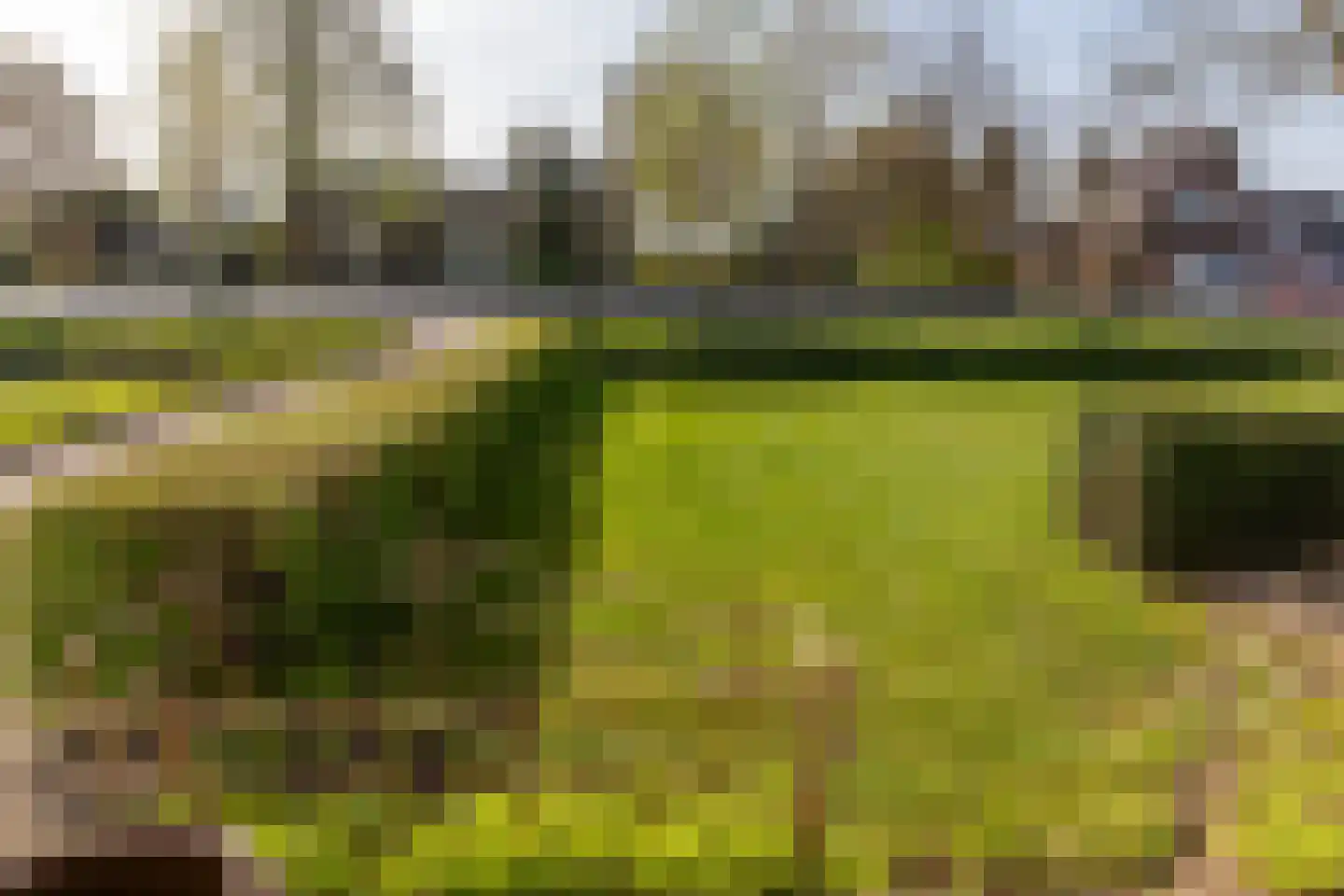 Broekdijk 44 Kesteren thumbnail 9