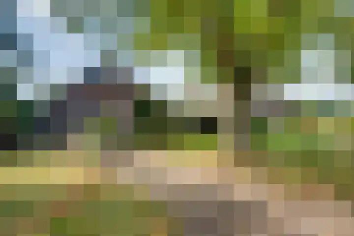 Broekdijk 9 Laren thumbnail 9