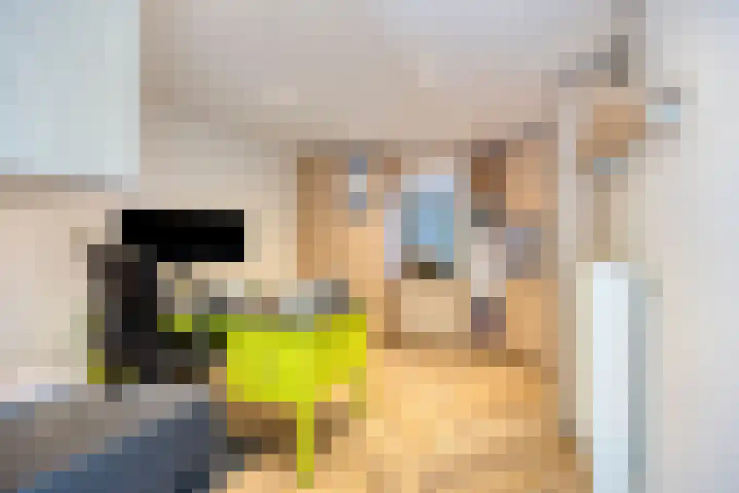 Broekelingstraat 16 Aarle-Rixtel thumbnail 23