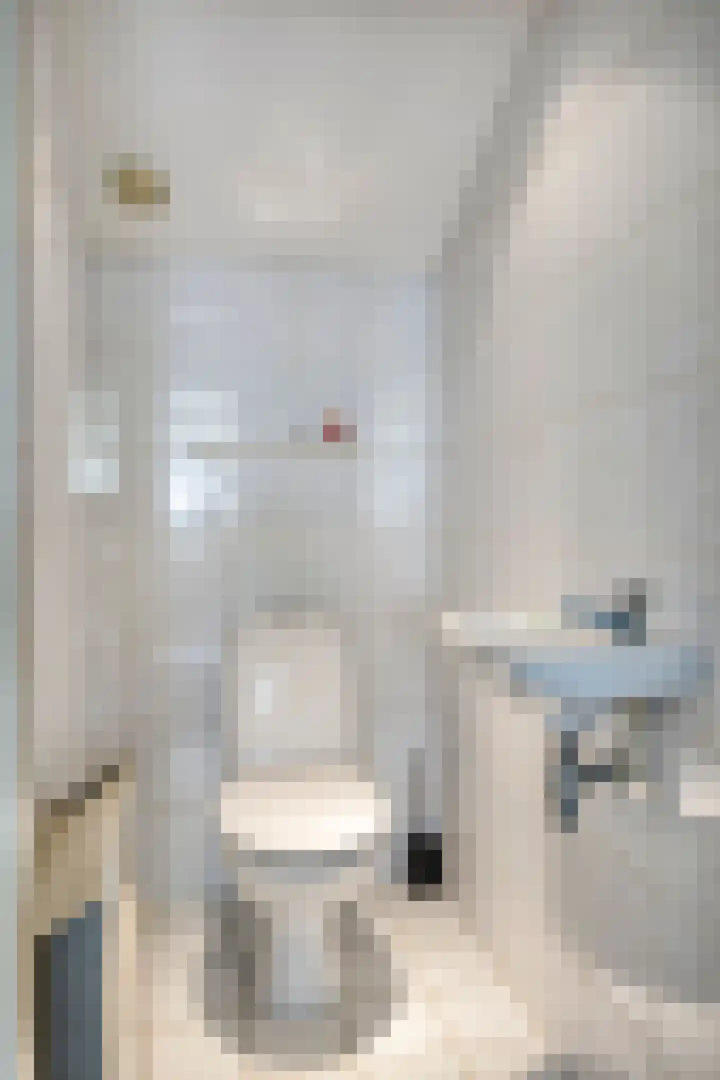 Broekelingstraat 16 Aarle-Rixtel thumbnail 31