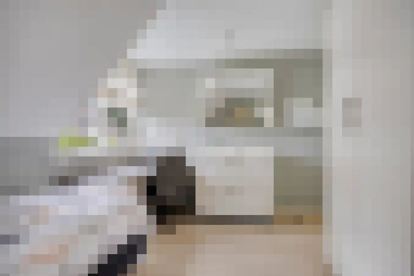 Broekelingstraat 16 Aarle-Rixtel thumbnail 39